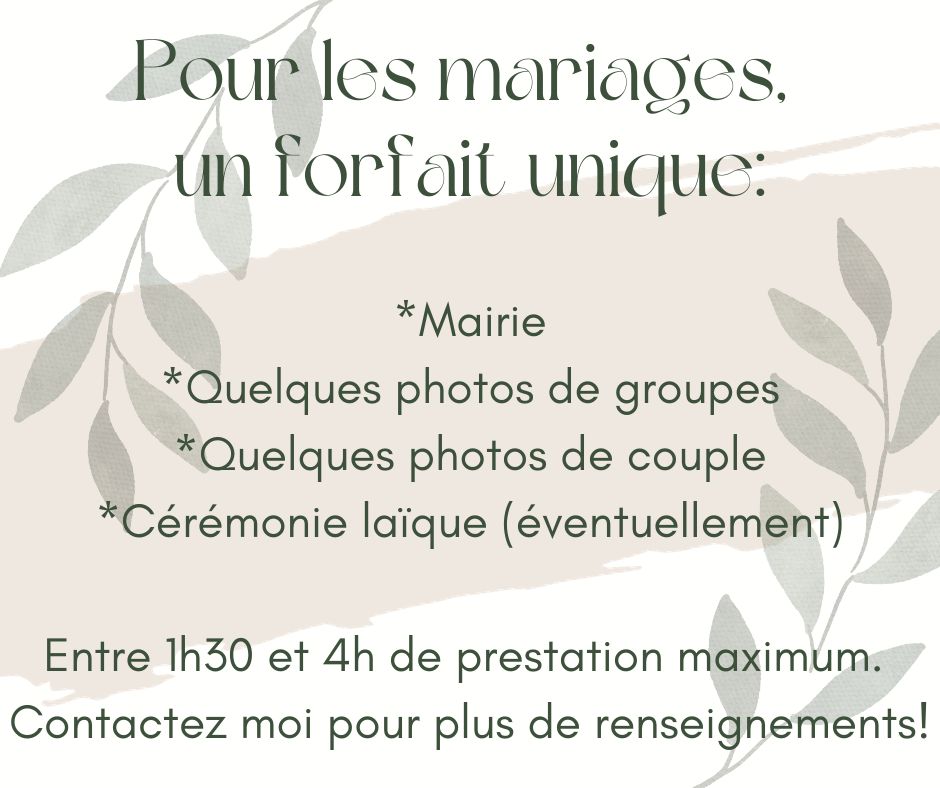 photographe pour la mairie - eure et loir - angeliquejeanrotphotos.fr - ceremonie civile